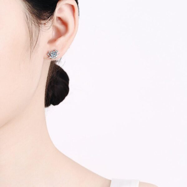 AZ464-E The women's earrings have your pt950 platinum simple moissanite stud along the way