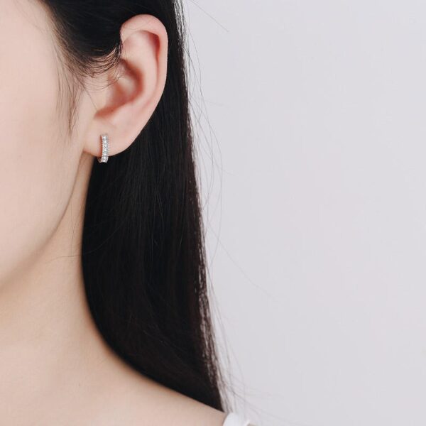 AZ309-E S925 silver earrings for women D color moissanite earrings simulated diamond ear hooks small fresh ear jewelry